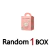 random-1pcs